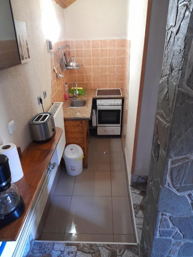 Casa Gabriela Holiday home Sinaia