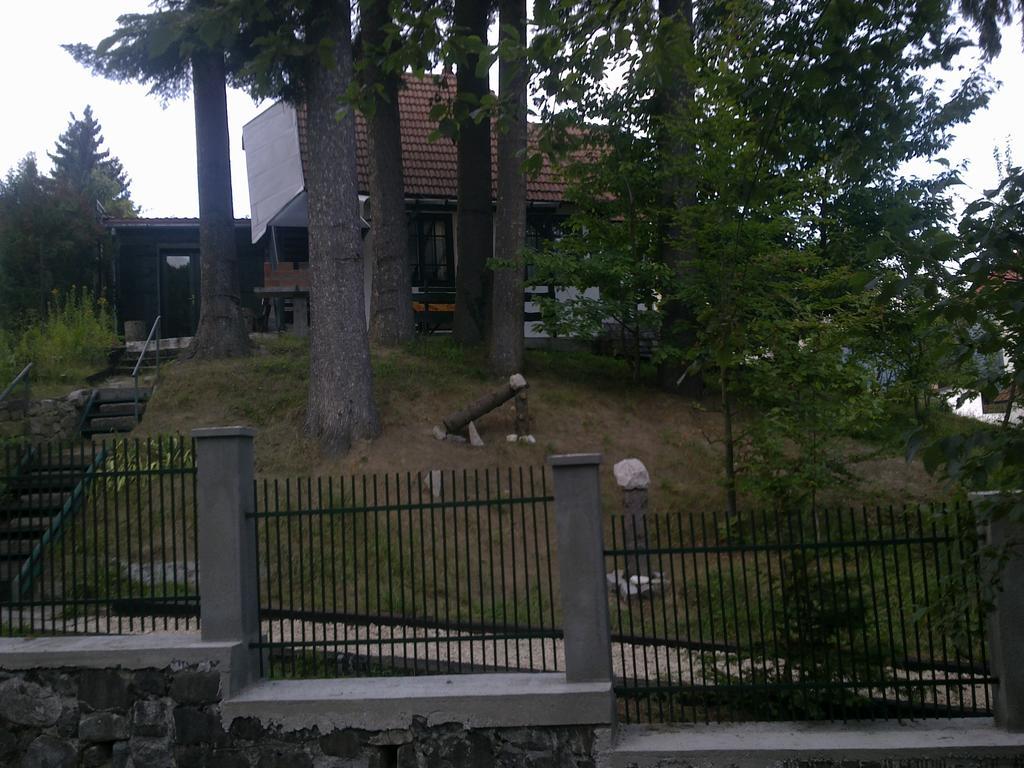 Casa Gabriela * Sinaia