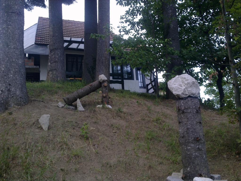 Casa Gabriela Holiday home Sinaia