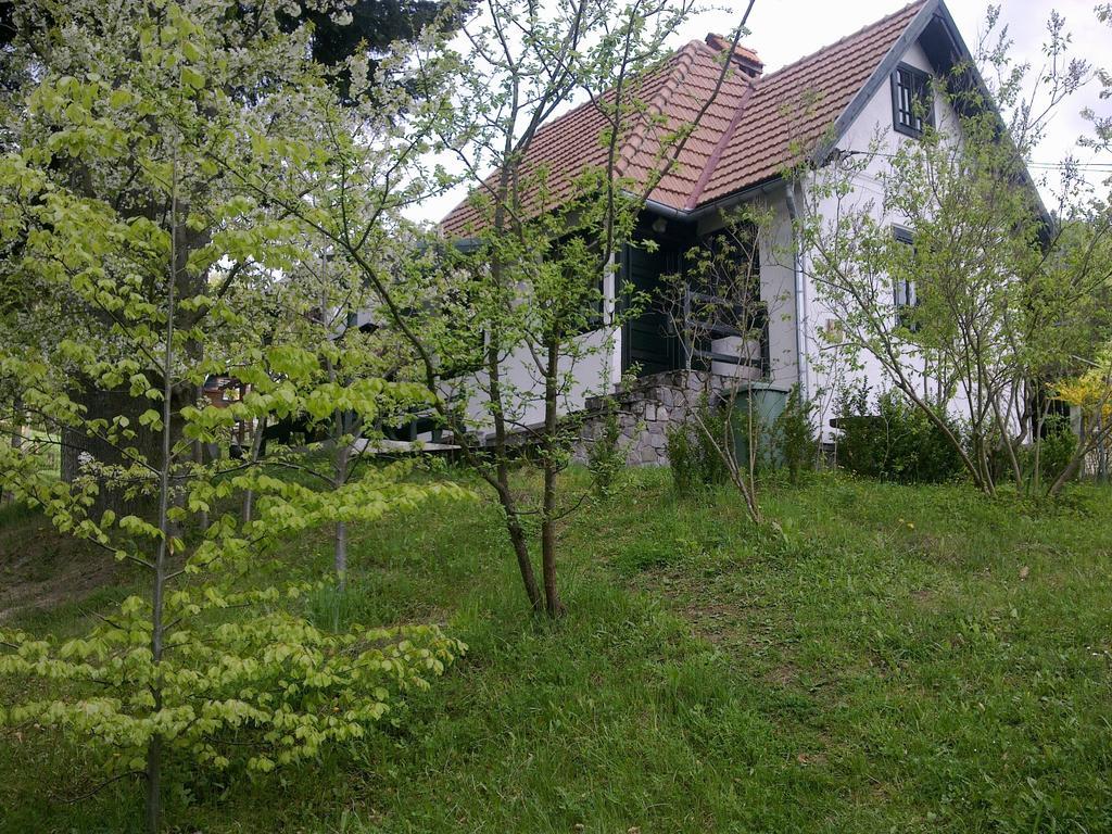 Casa Gabriela Sinaia