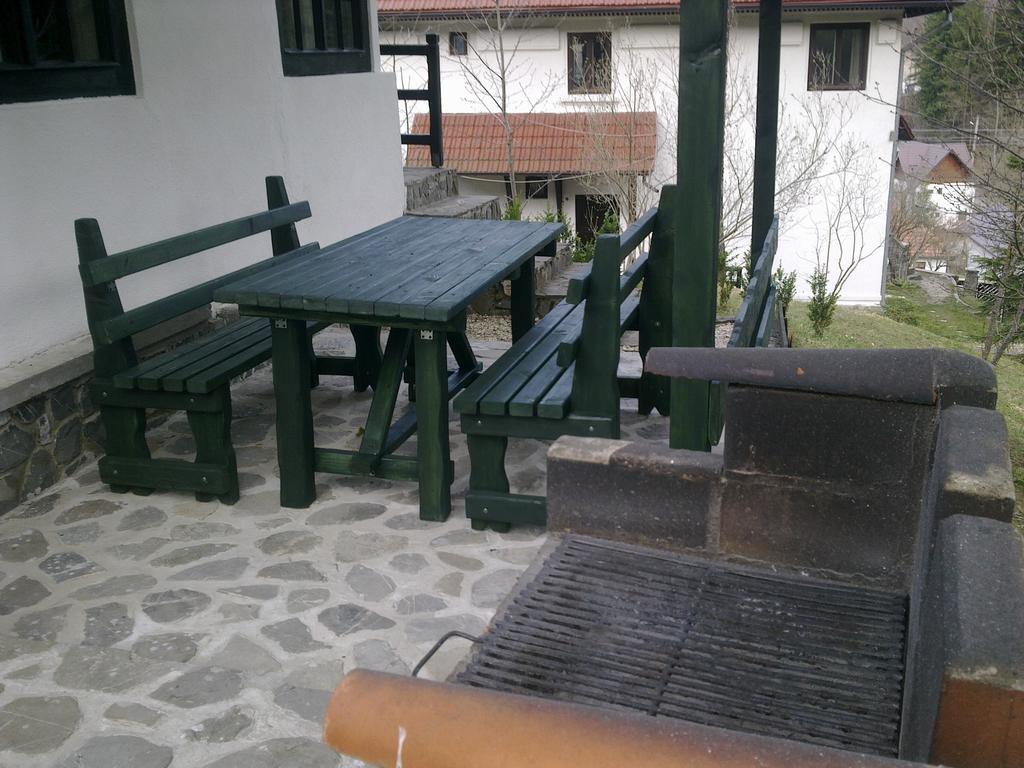 Casa Gabriela Holiday home Sinaia