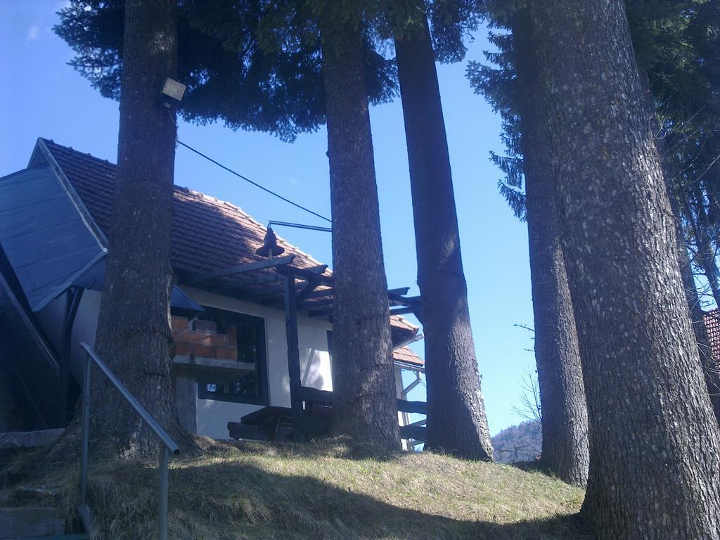 Casa Gabriela Holiday home